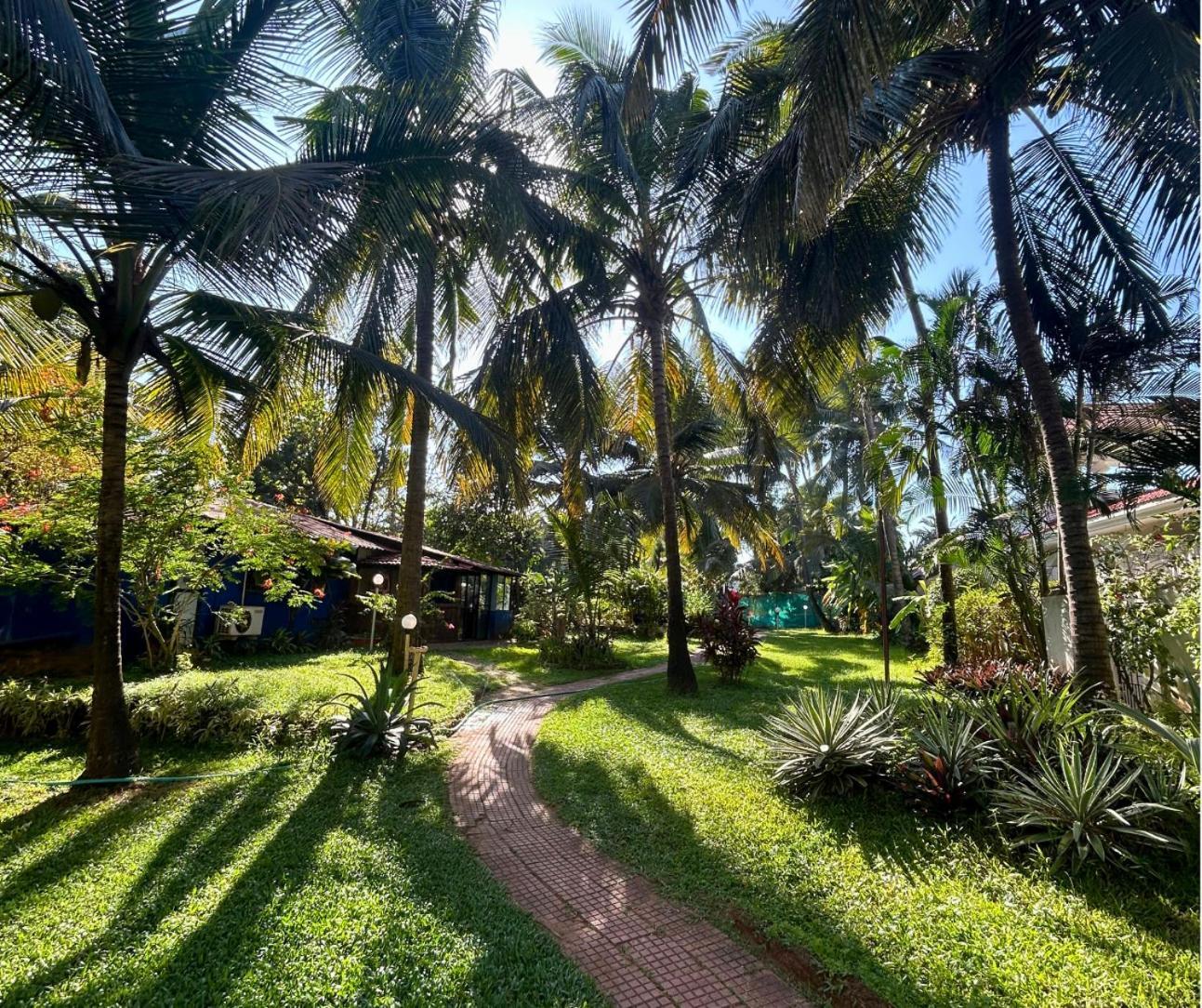 Jungle Hut-Annabelle'S Beach Apartments At Bernard Simao,Calangute,Goa Кандолім Екстер'єр фото
